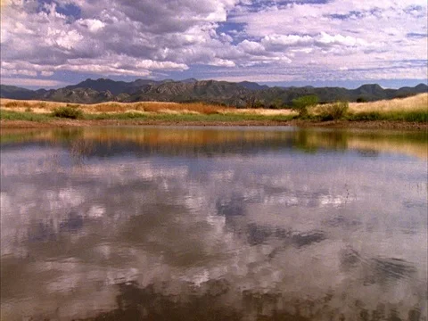 Gila wilderness Stock Footage 86751200