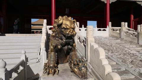 Gilded Lion Stock Footage 223783165