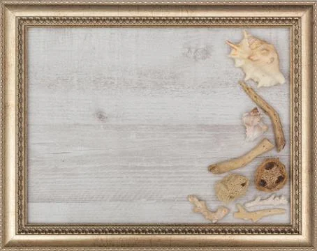 Gilded picture frame with shells inside Stock Photos