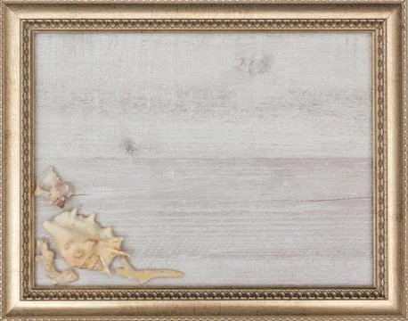 Gilded picture frame with shells inside Stock Photos