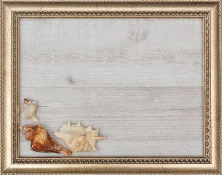 Gilded picture frame with shells inside Stock Photos