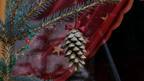 Gilded pine cone in Christmas tree Stock Footage 99555728
