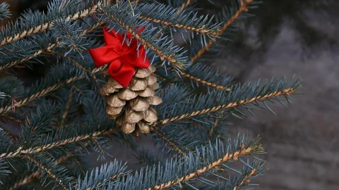 Gilded pine cone in Christmas tree Vídeo Stock 99555885