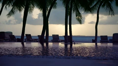 Gili Lankanfushi Infinity Pool and Palm Trees at Sunset Stock Footage 341103090
