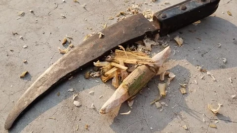 Gilli danda making with sword Stock Footage 254528893