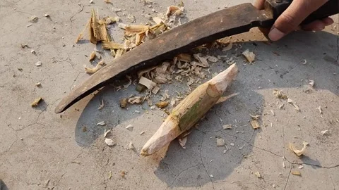 Gilli danda sharping with sword or knife Stock Footage 254528904