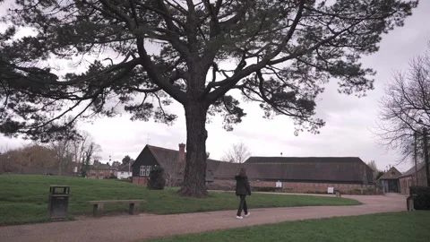 A gilr walks by a tree in a garden Stock Footage 300134891