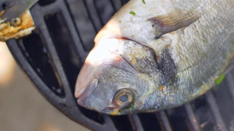 Gilt-head bream dorade grilled nature Stock Footage 114081953