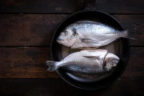 Gilthead fish Stock Photos