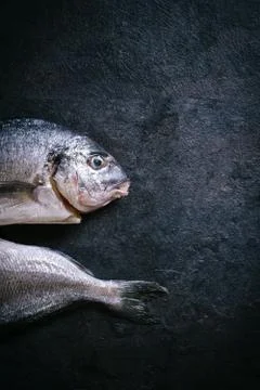 Gilthead fish Stock Photos