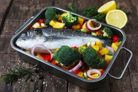 Gilthead Stock Photos