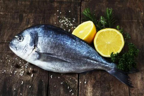 Gilthead Stock Photos
