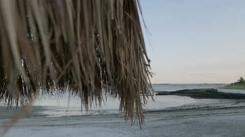Gimbal of grass ceiling with beach in background Stock Footage 170376634