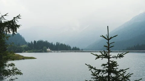 Gimbal pan shot of pine tree on background of water and forest 스톡 동영상 124097212