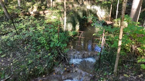 Gimbal Pan Through Forest and Stream Near Barrie Ontario Stock Footage 318378671