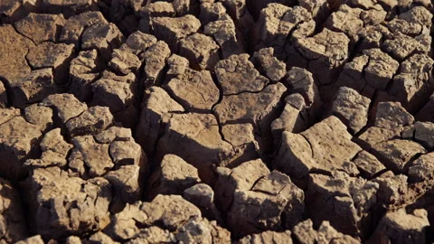 Gimbal shot of cracking dry ground across the savanna Stock Footage 278926283