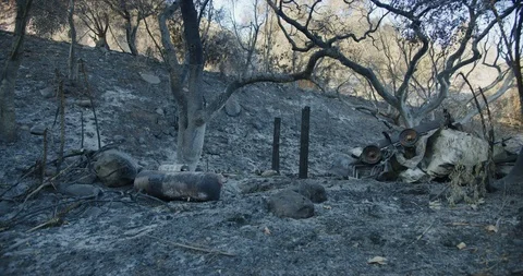 Gimbal shot of fire damage caused by Thomas Fire in Montecito hills Dec 2017. Stock Footage 99148229