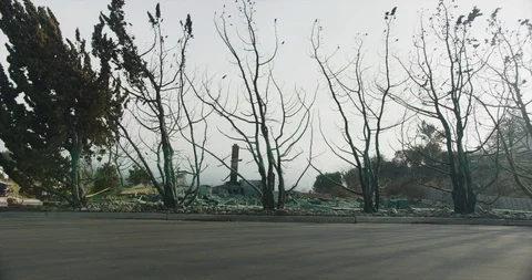 Gimbal shot of fire damage caused by Thomas Fire in Ojai Dec 2017. Ventura Stock Footage 99151718