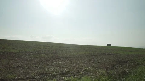 Gimbal shot at a landscape, field with grass at summer Stock Footage 71324285