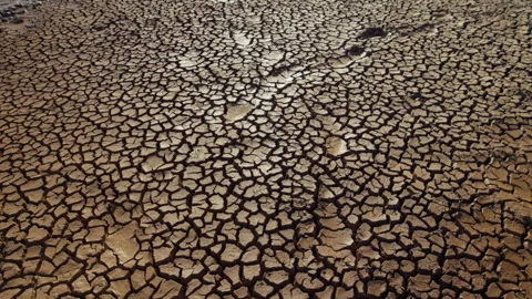 Gimbal shot of wet cracking ground across the savanna Video stock 278932324