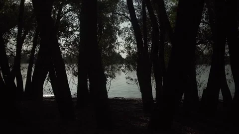 Gimbal slow motion shot at Danube, Dunau at summer and trees Stock Footage 71325430