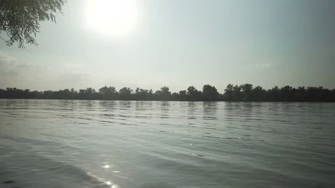 Gimbal slow motion shot at Danube, Dunau at summer and trees Stock Footage 71325455