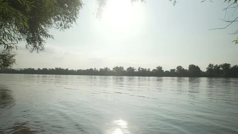 Gimbal slow motion shot at Danube, Dunau at summer and trees Stock Footage 71325873