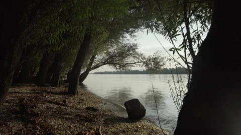 Gimbal slow motion shot at Danube, Dunau at summer and trees Stock Footage 71326440