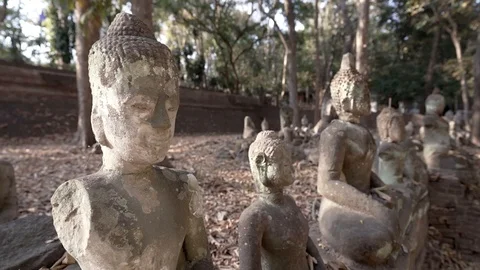 Gimbal Stabilized Pan Through Ancient Temple Grounds with Buddha Stone Statues Stock-Footage 124108480