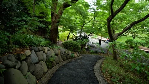 Gimbal Walking Down Narrow Path in Park Stock Footage 104408479