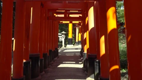 Gimbal Walking at Red Torii Gates Gimbal Of Fushimi Inari Shrine in Kyoto, Japan Stock Footage 264985744