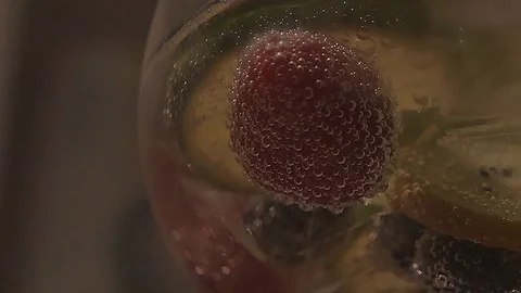 Gin and Tonic Fruit 1 Stock Footage 101720381