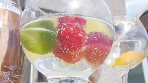 Gin and Tonic with Fruit  Stock Footage 135683144