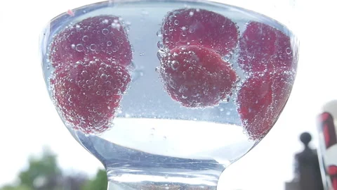 Gin and Tonic Summer 18 Stock Footage 135839042