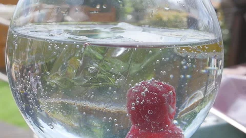 Gin Cocktail Summer 8 Stock Footage 135833760