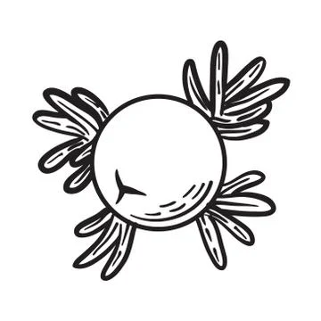 Gin leaf simple art vector black and white Stock Illustration