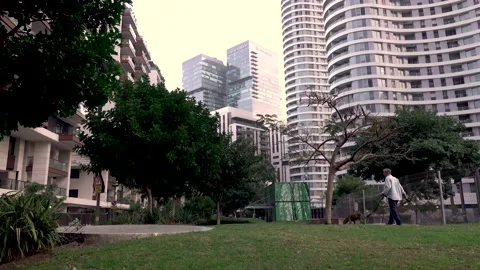 Gindi tel aviv Vidéo 170228926