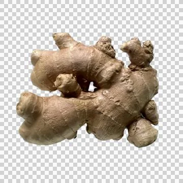 Ginge on white background Stock Photos