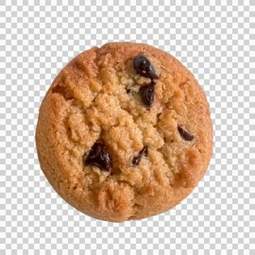 Ginge on white background Stock Photos