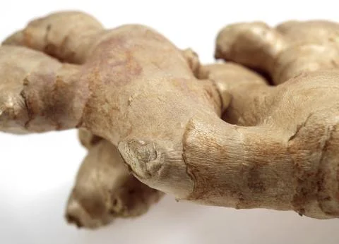 GINGEMBRE Stock Photos