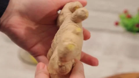 GINGER 2 Stock Footage 155411700