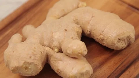 GINGER 3 Stock Footage 155411708