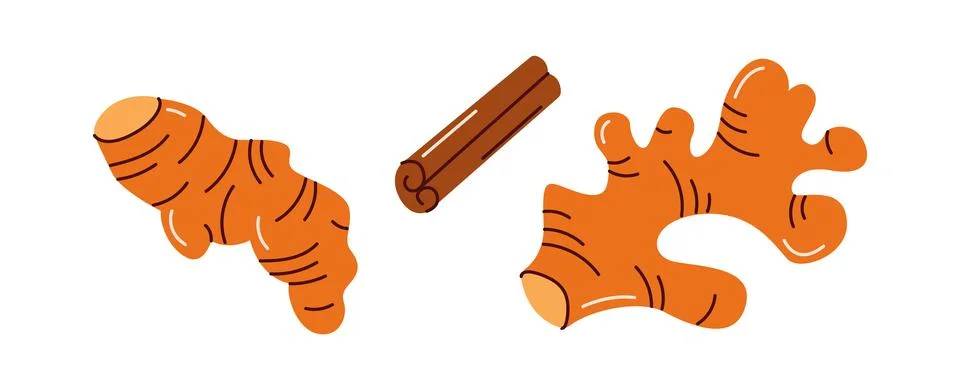 Ginger and cinnamon sticks as kombucha ingredients Stock Illustration