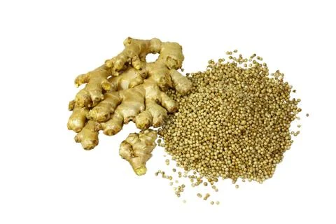 Ginger and Coriander Stock Photos