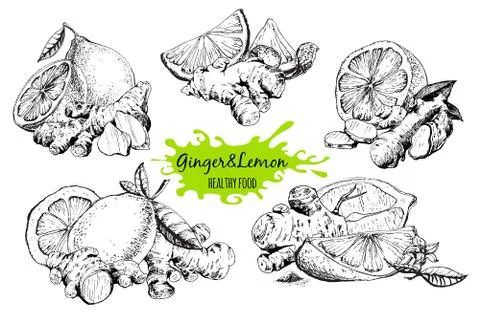 Ginger and lemon Stock Illustration