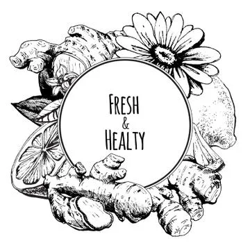 Ginger and lemon Stock Illustration