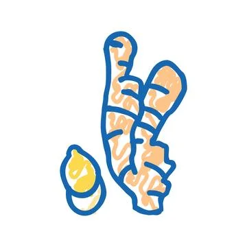 Ginger aromatherapy color icon vector isolated illustration Stock Illustration