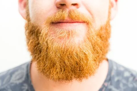 Ginger beard Stock Photos