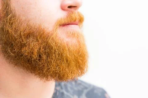 Ginger beard profile Stock Photos