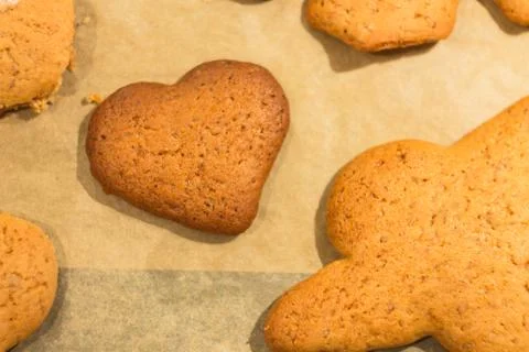 Ginger biscuits with heart shape lie on a baking sheet. Cookies on baking pap Stock Photos